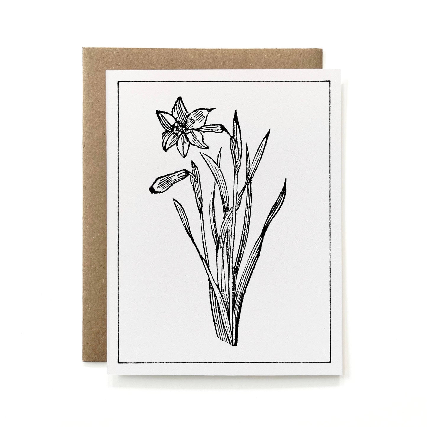 100% Recycled B&W Botanical Card - Daffodil Flower: Package-free