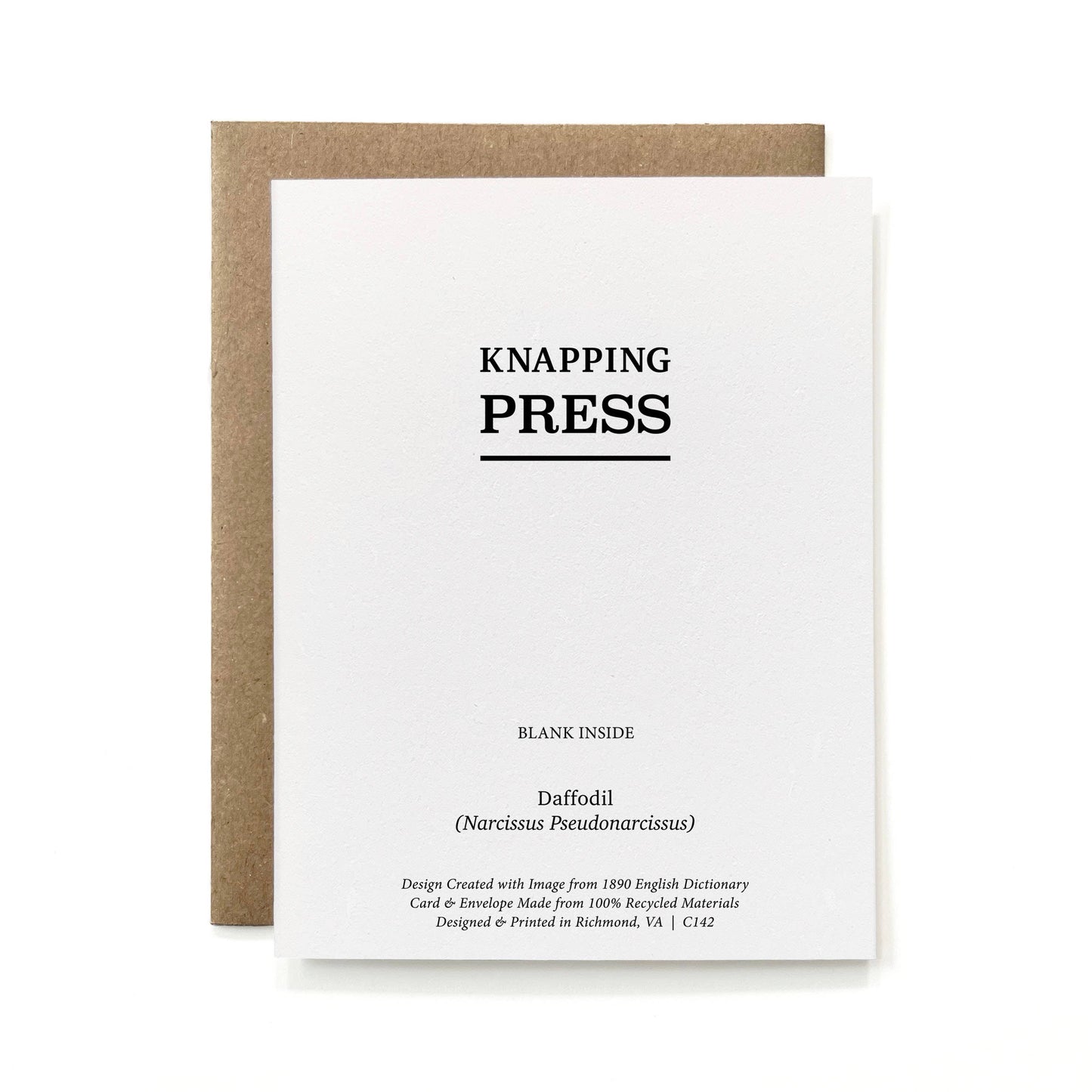 100% Recycled B&W Botanical Card - Daffodil Flower: Package-free