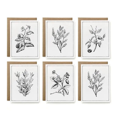 Botanicals Card Collection, Set of 6 (100% Recycled)