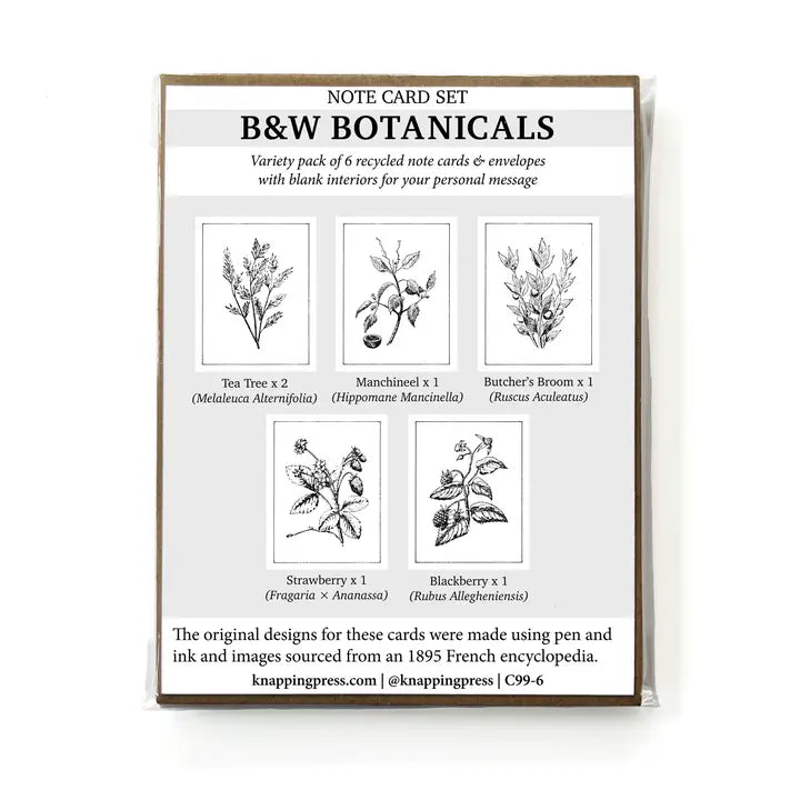 Botanicals Card Collection, Set of 6 (100% Recycled)