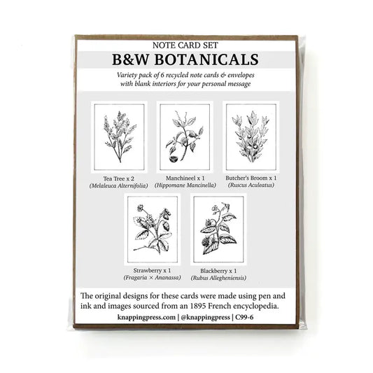 Botanicals Card Collection, Set of 6 (100% Recycled)