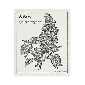 Swedish Dishcloth - Lilac
